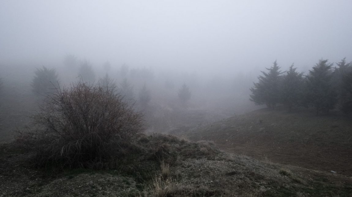 In the fog | 2016
